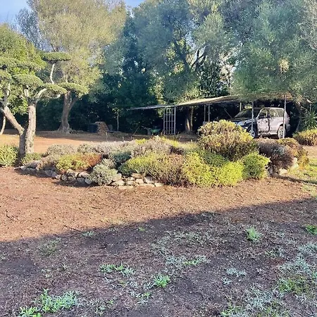 Villa, Grand Jardin Vila